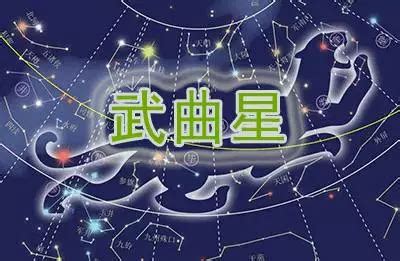 武曲貪狼外表|紫微十四主星相貌大全 – 紫微麥 